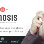 دانلود قالب وردپرس Osmosis - پوسته کاری و چند منظوره وردپرس | پوسته Osmosis