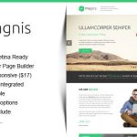 دانلود قالب وردپرس Magnis - پوسته قالب شرکتی و کاری وردپرس | پوسته Magnis