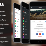 دانلود قالب وردپرس Be Mobile - قالب HTML واکنش گرا موبایل و تبلت