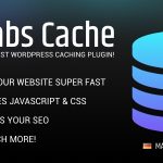 دانلود افزونه Borlabs Cache - افزونه کش وردپرس | پلاگین Borlabs Cache