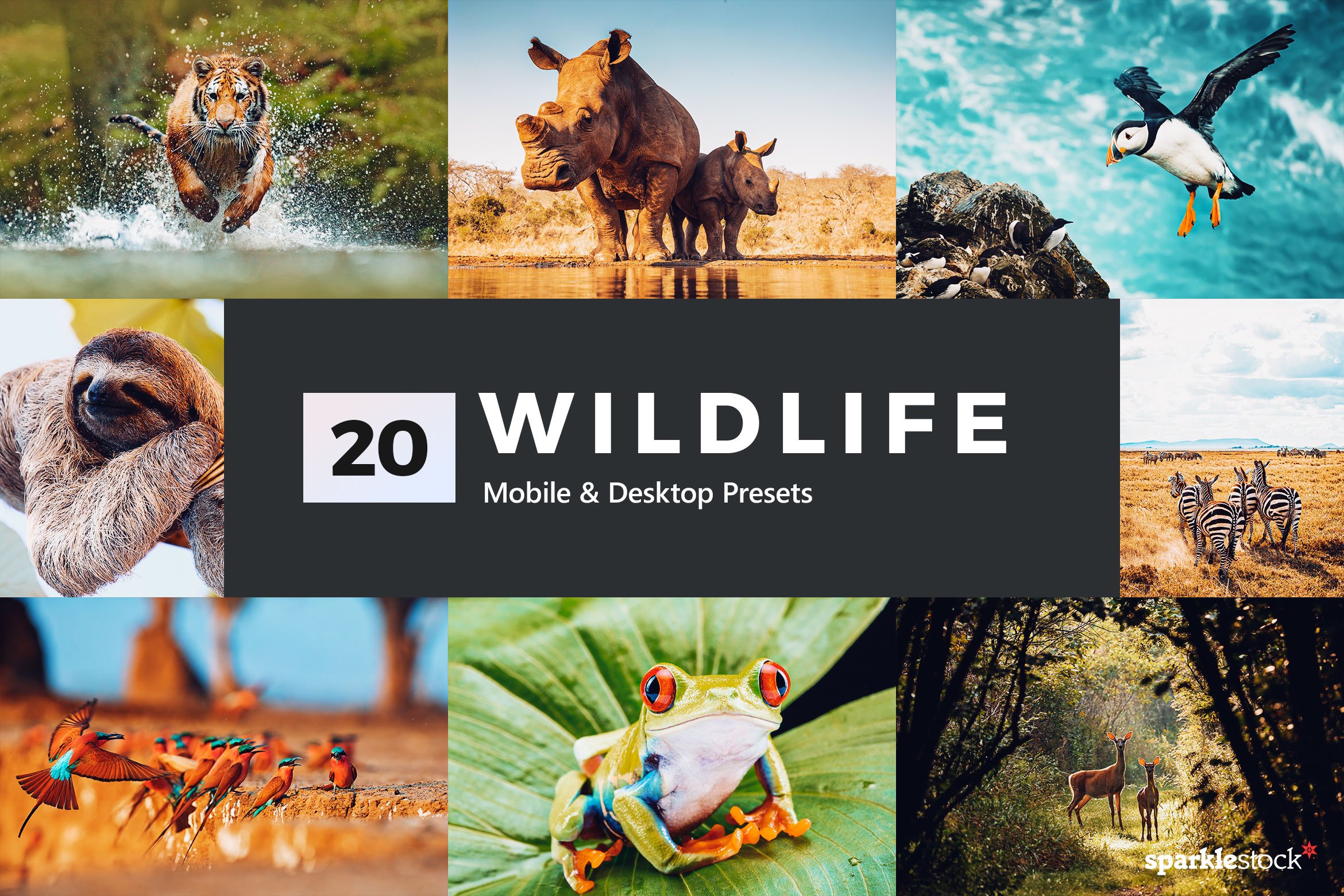 دانلود پریست لایت روم Wildlife