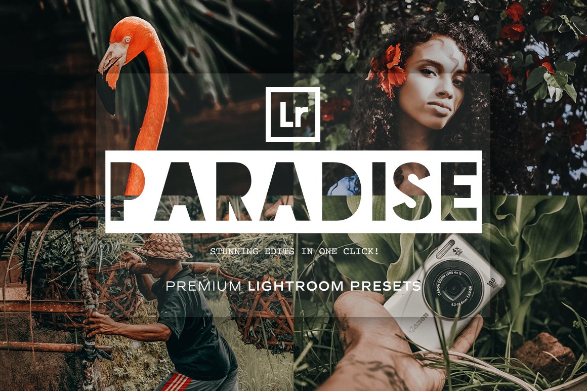 دانلود مجموعه پریست لایت روم Paradise