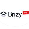 دانلود افزونه وردپرس Brizy Pro - سایت ساز پیشرفته وردپرس
