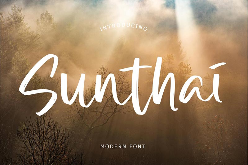 دانلود فونت انگلیسی Sunthai Modern - به همراه نسخه وب