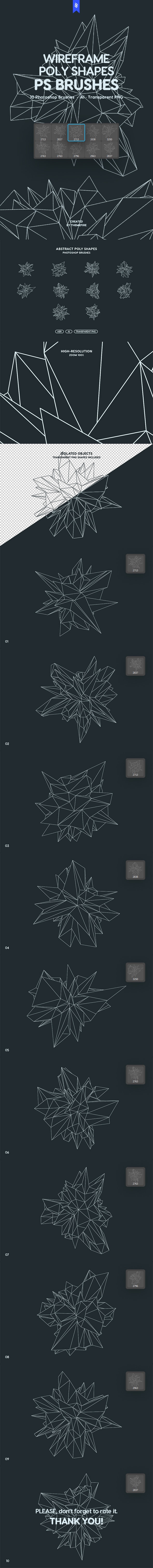 Wireframe Polygonal Shapes