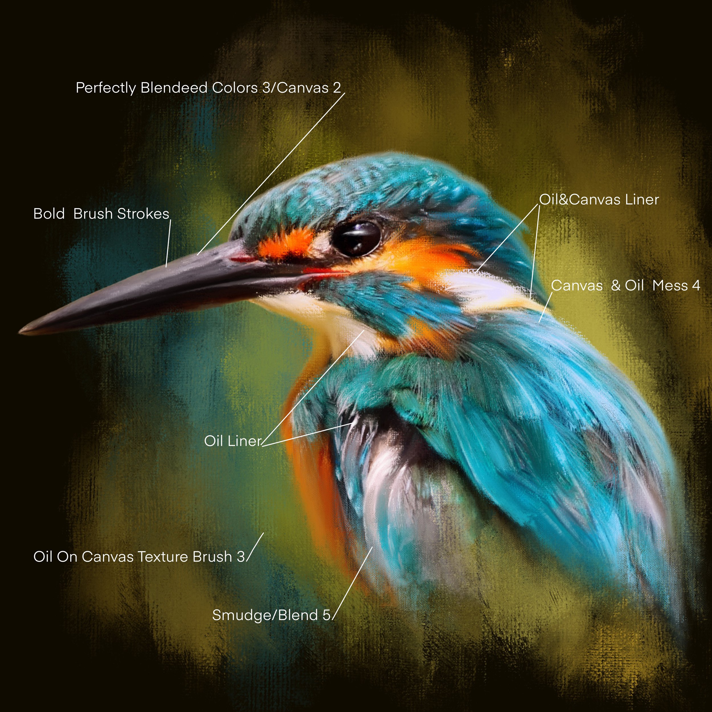 Oil Brushes for Procreate