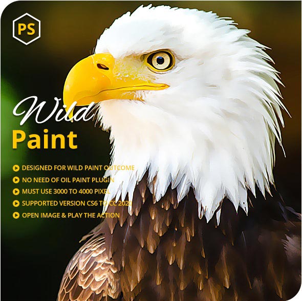 دانلود اکشن فتوشاپ Wild Paint