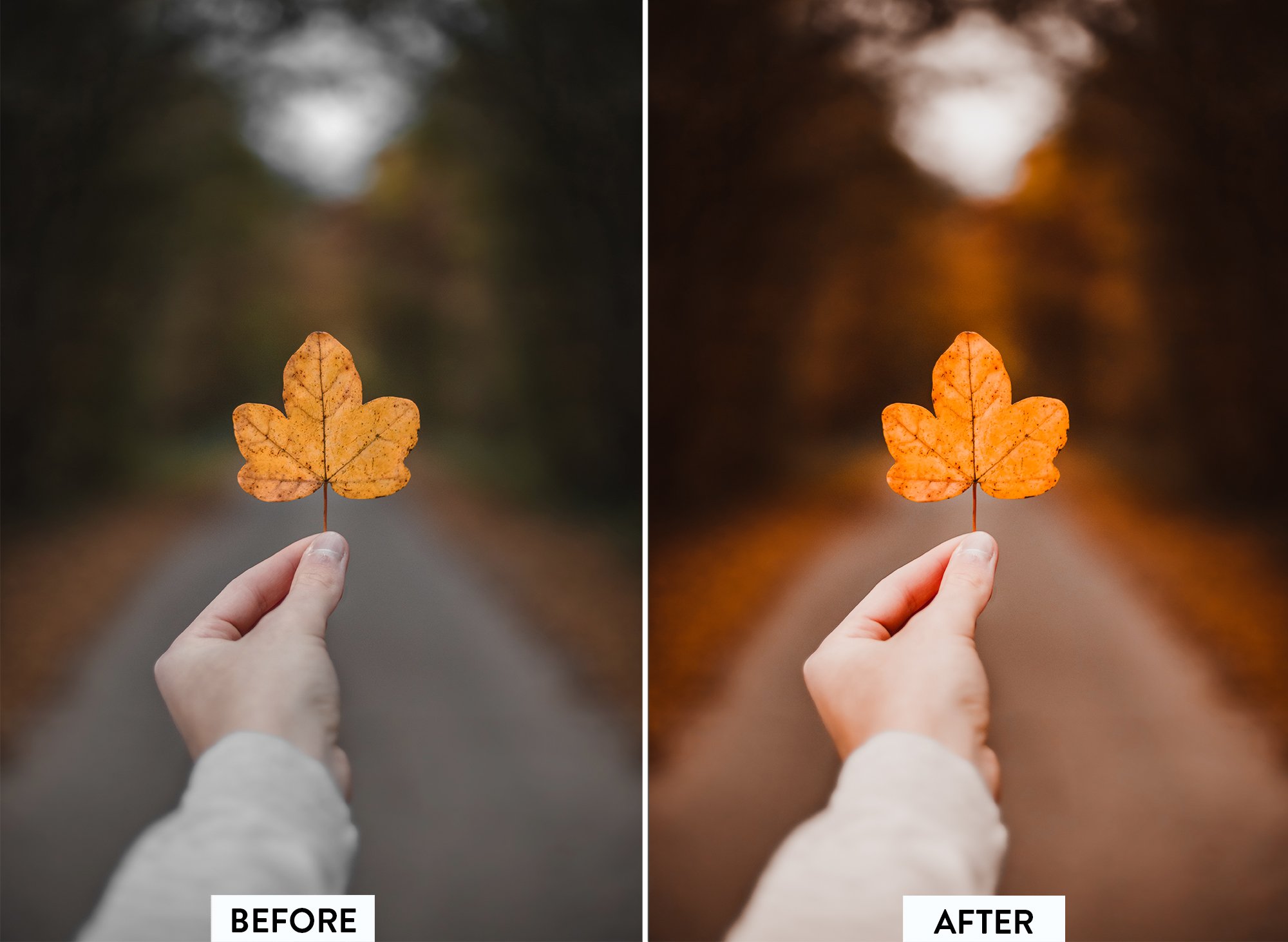دانلود پریست لایت روم AUTUMN VIBES