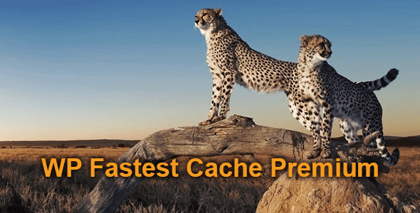 دانلود افزونه وردپرس WhatsApp Chat WordPress – چت واتساپ وردپرس دانلود افزونه وردپرس WP Fastest Cache Premium