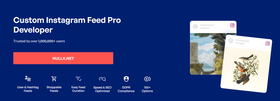 دانلود افزونه وردپرس Custom Instagram Feed Pro Developer