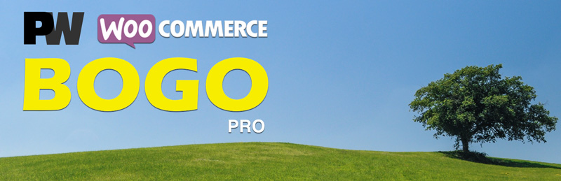 PW-WooCommerce-BOGO-Pro دانلود افزونه وردپرس PW WooCommerce BOGO Pro