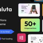 دانلود قالب شرکتی و فناوری اطلاعات وردپرس Saluta