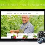 دانلود قالب سوپر مارکت آنلاین شاپیفای Fresh Food
