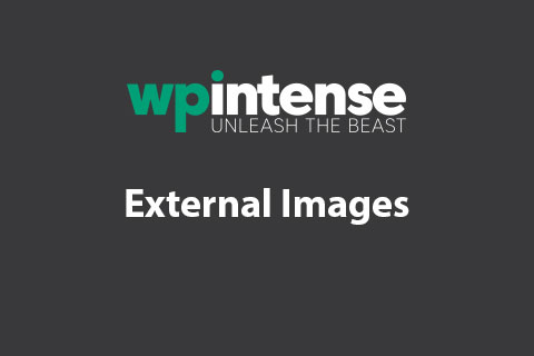 دانلود افزونه وردپرس External Images