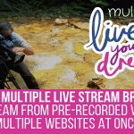 دانلود افزونه لایو استریم وردپرس MultiLive