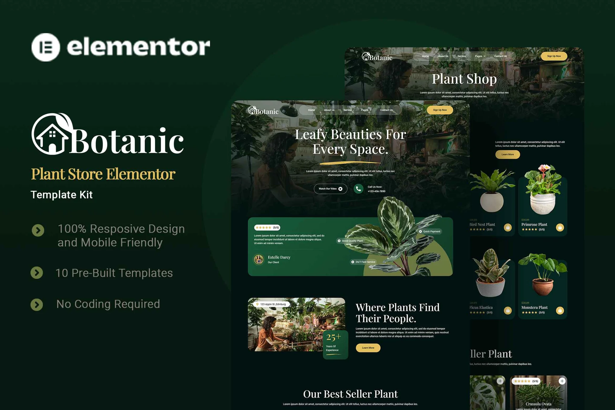 قالب سایت گلفروشی المنتور وردپرس Botanic