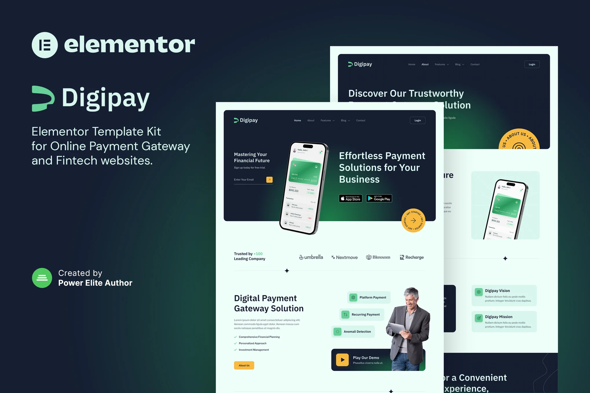 قالب درگاه پرداخت وردپرس دیجی پی Digipay