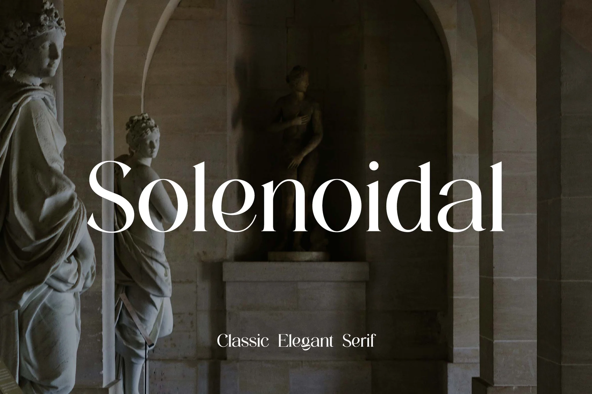 Solenoidal Classic Elegant Serif Font دانلود فونت Solenoidal Classic Elegant Serif Font