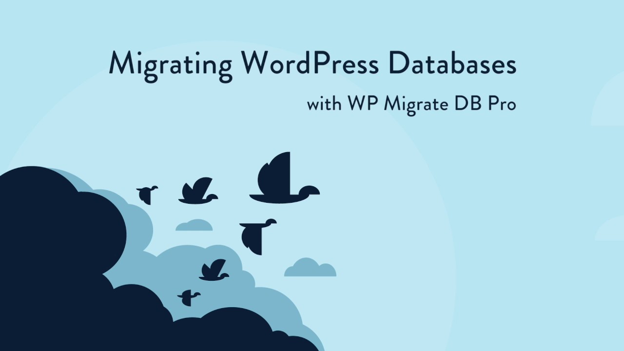 دانلود افزونه وردپرس WP Migrate DB Pro