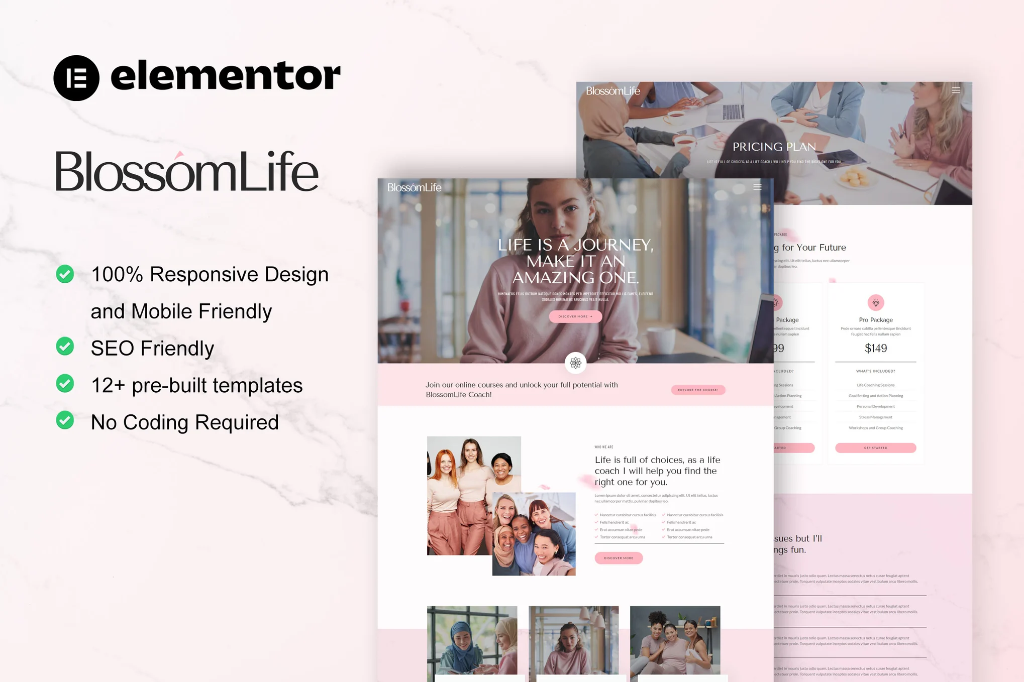 دانلود قالب المنتور وردپرس BlossomLife