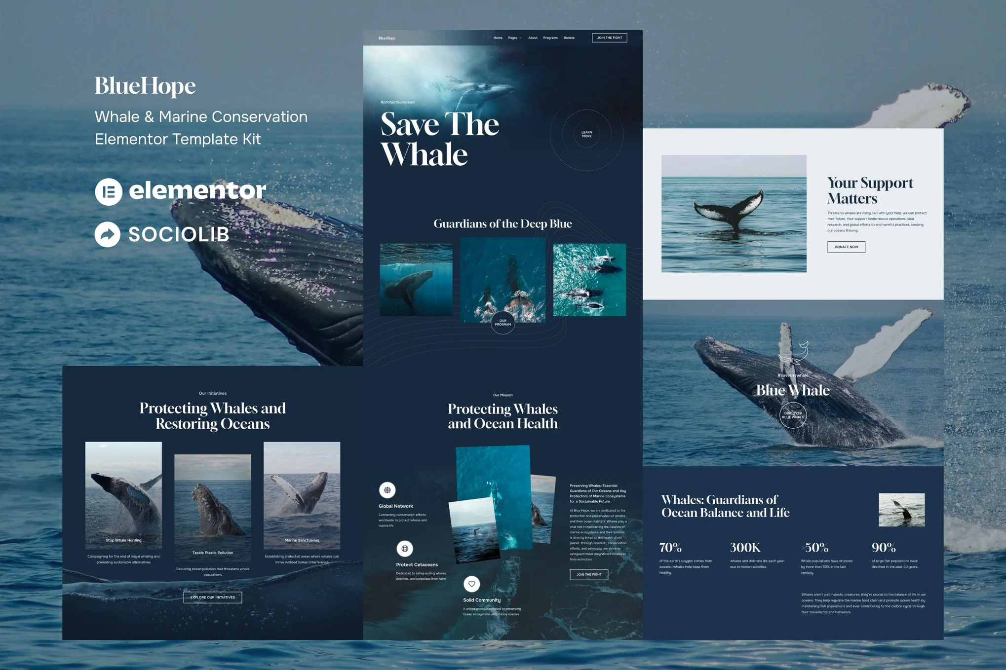دانلود قالب المنتور وردپرس BlueHope