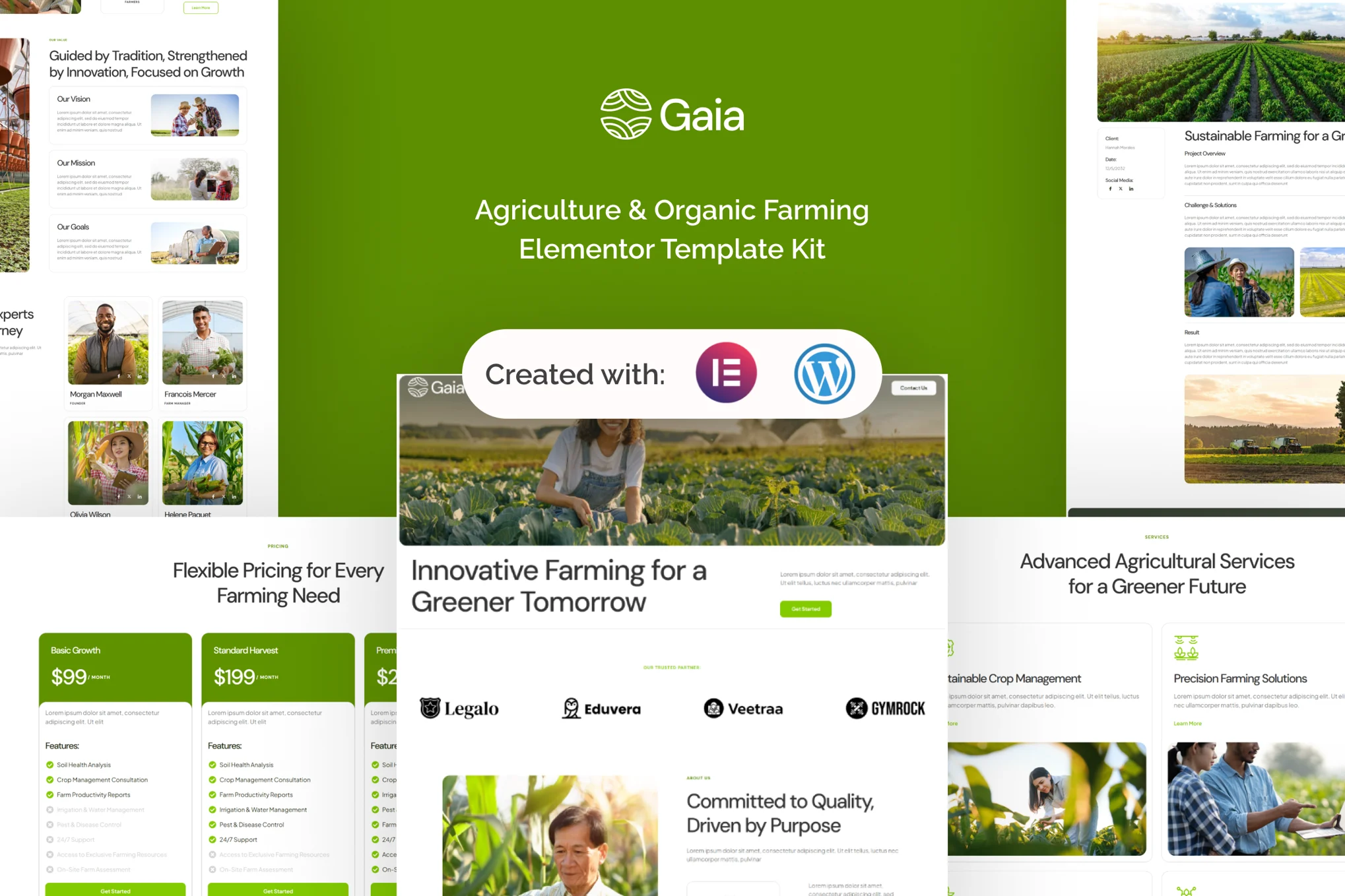 دانلود قالب المنتور وردپرس Gaia