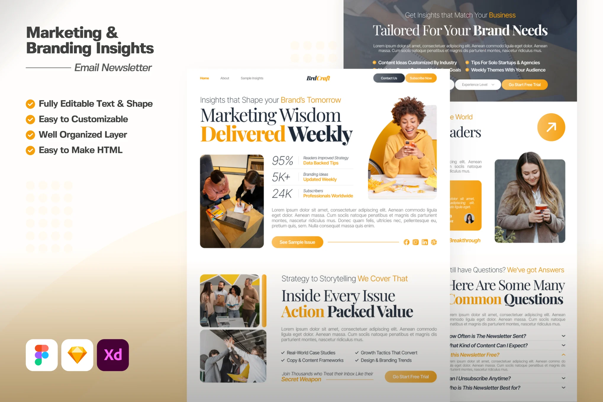 قالب فیگما Marketing & Branding Insights Email Newsletter